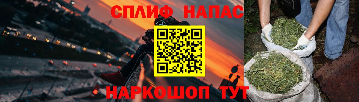 Каннабис конопля Будённовск